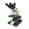 Microscópio biológico médico Triocular C Digital C Montagem